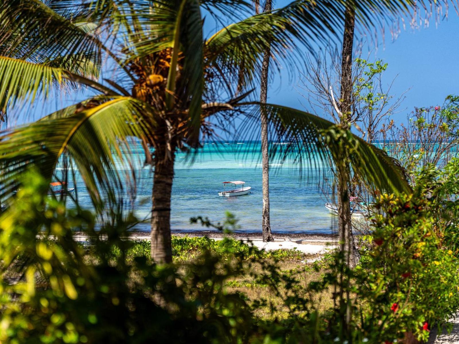 Shanuo Beach Bungalows Michamvi Kae Ngoại thất bức ảnh